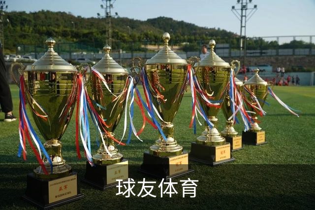 球友体育公司简介